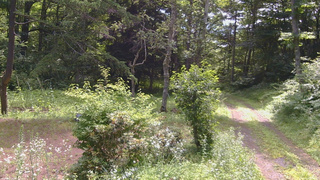 長野県菅平高原 ゆたか山荘 坂上 2026/07/19 09:45