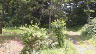 長野県菅平高原 ゆたか山荘 坂上 2026/07/19 10:15