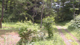 長野県菅平高原 ゆたか山荘 坂上 2026/07/19 10:30