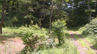 長野県菅平高原 ゆたか山荘 坂上 2026/07/19 10:45