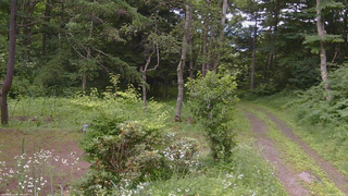 長野県菅平高原 ゆたか山荘 坂上 2026/07/19 11:15