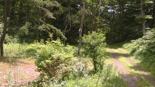 長野県菅平高原 ゆたか山荘 坂上 2026/07/19 11:30