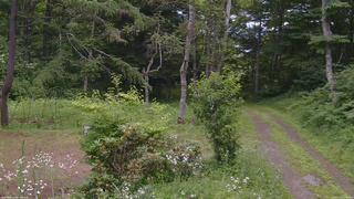 長野県菅平高原 ゆたか山荘 坂上 2026/07/19 11:45