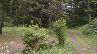 長野県菅平高原 ゆたか山荘 坂上 2026/07/19 12:00