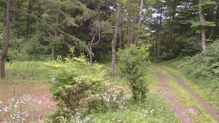 長野県菅平高原 ゆたか山荘 坂上 2026/07/19 12:15