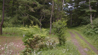 長野県菅平高原 ゆたか山荘 坂上 2026/07/19 12:30