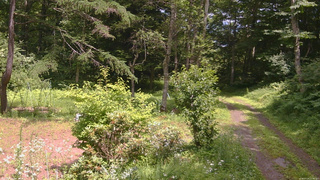 長野県菅平高原 ゆたか山荘 坂上 2026/07/19 12:45