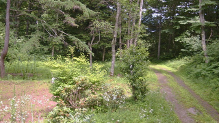長野県菅平高原 ゆたか山荘 坂上 2026/07/19 13:30