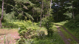 長野県菅平高原 ゆたか山荘 坂上 2026/07/19 13:45