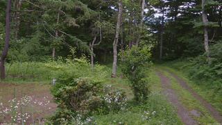 長野県菅平高原 ゆたか山荘 坂上 2026/07/19 14:00