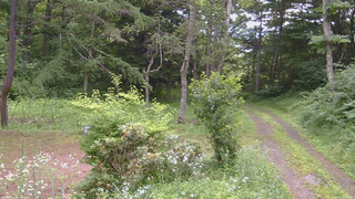 長野県菅平高原 ゆたか山荘 坂上 2026/07/19 14:15