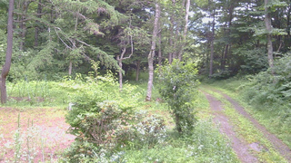 長野県菅平高原 ゆたか山荘 坂上 2026/07/19 14:30