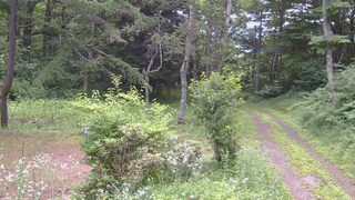 長野県菅平高原 ゆたか山荘 坂上 2026/07/19 14:45