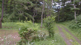 長野県菅平高原 ゆたか山荘 坂上 2026/07/19 15:00