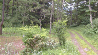 長野県菅平高原 ゆたか山荘 坂上 2026/07/19 15:15