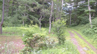 長野県菅平高原 ゆたか山荘 坂上 2026/07/19 15:30