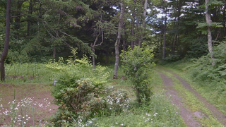 長野県菅平高原 ゆたか山荘 坂上 2026/07/19 15:45