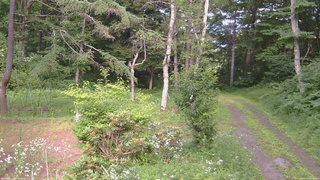 長野県菅平高原 ゆたか山荘 坂上 2026/07/19 16:00