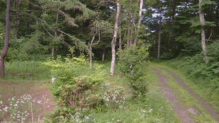 長野県菅平高原 ゆたか山荘 坂上 2026/07/19 16:15