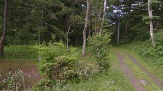 長野県菅平高原 ゆたか山荘 坂上 2026/07/19 16:45