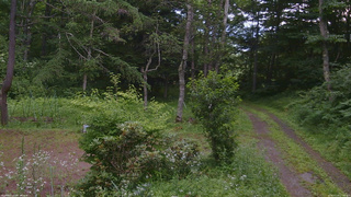 長野県菅平高原 ゆたか山荘 坂上 2026/07/19 17:00