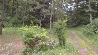 長野県菅平高原 ゆたか山荘 坂上 2026/07/19 17:15