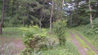 長野県菅平高原 ゆたか山荘 坂上 2026/07/19 17:30