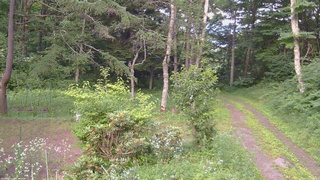 長野県菅平高原 ゆたか山荘 坂上 2026/07/19 18:00