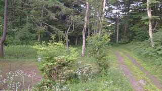 長野県菅平高原 ゆたか山荘 坂上 2026/07/19 18:15