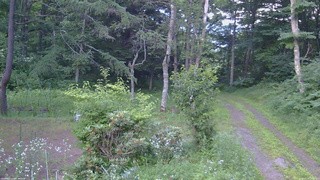 長野県菅平高原 ゆたか山荘 坂上 2026/07/19 18:45