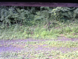 長野県菅平高原 ゆたか山荘 東側(坂下) 2026/07/20 07:15