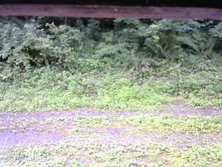 長野県菅平高原 ゆたか山荘 東側(坂下) 2026/07/20 10:15