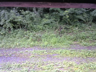 長野県菅平高原 ゆたか山荘 東側(坂下) 2026/07/20 10:45