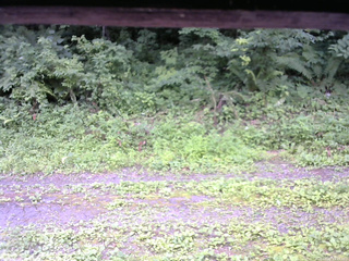 長野県菅平高原 ゆたか山荘 東側(坂下) 2026/07/20 11:15