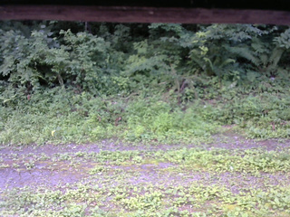 長野県菅平高原 ゆたか山荘 東側(坂下) 2026/07/20 12:30
