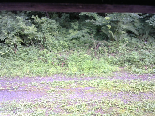 長野県菅平高原 ゆたか山荘 東側(坂下) 2026/07/20 15:15