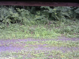 長野県菅平高原 ゆたか山荘 東側(坂下) 2026/07/20 15:30