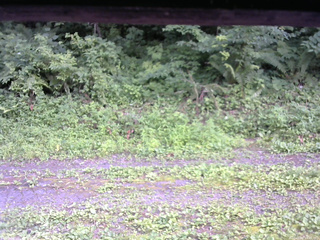 長野県菅平高原 ゆたか山荘 東側(坂下) 2026/07/20 16:00
