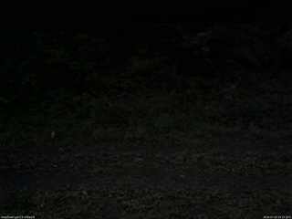 長野県菅平高原 ゆたか山荘 東側(坂下) 2026/07/20 19:15