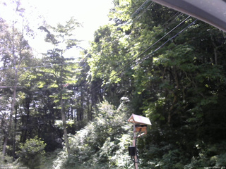 長野県菅平高原 ゆたか山荘 温度計 2026/07/20 09:15