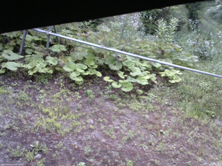 長野県菅平高原 ゆたか山荘 駐車場 2026/07/20 06:45