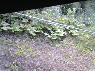 長野県菅平高原 ゆたか山荘 駐車場 2026/07/20 07:15