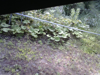 長野県菅平高原 ゆたか山荘 駐車場 2026/07/20 07:30