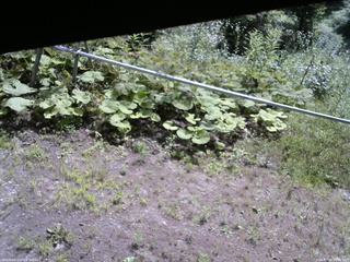 長野県菅平高原 ゆたか山荘 駐車場 2026/07/20 09:45