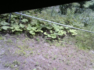 長野県菅平高原 ゆたか山荘 駐車場 2026/07/20 10:30