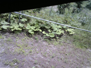長野県菅平高原 ゆたか山荘 駐車場 2026/07/20 10:45