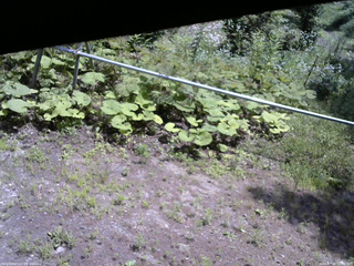 長野県菅平高原 ゆたか山荘 駐車場 2026/07/20 11:30