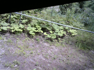 長野県菅平高原 ゆたか山荘 駐車場 2026/07/20 11:45