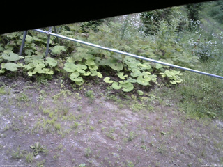 長野県菅平高原 ゆたか山荘 駐車場 2026/07/20 12:00