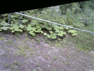 長野県菅平高原 ゆたか山荘 駐車場 2026/07/20 12:15